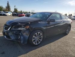 Honda Accord exl salvage cars for sale: 2013 Honda Accord EXL