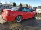 2003 Ford Mustang GT