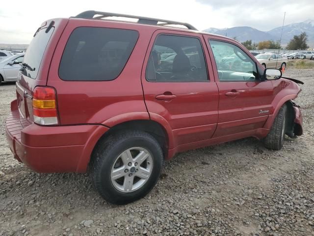 2007 Ford Escape HEV