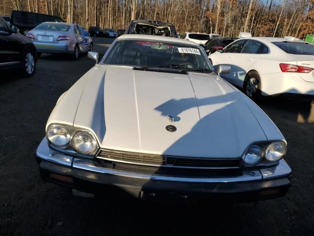 1982 Jaguar XJS