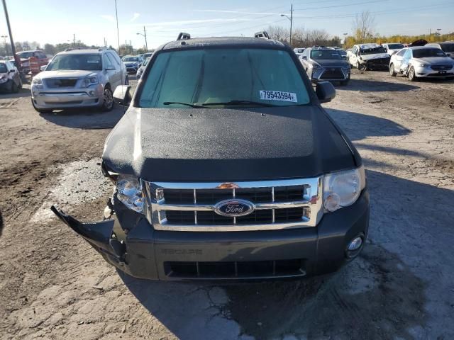 2008 Ford Escape XLT