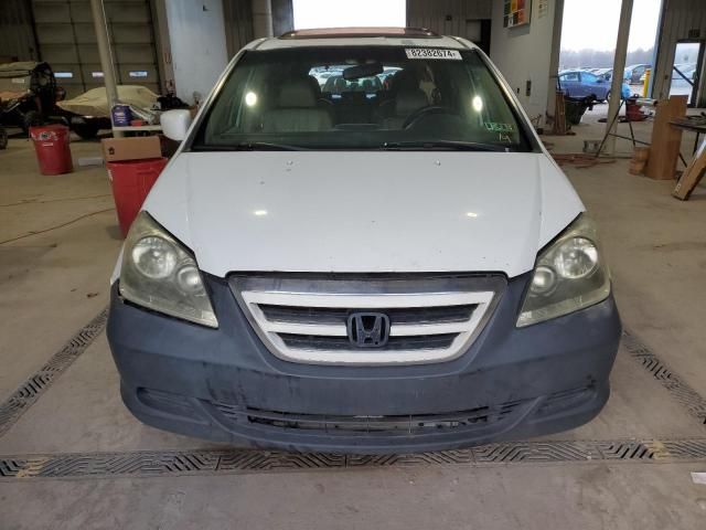 2005 Honda Odyssey EXL