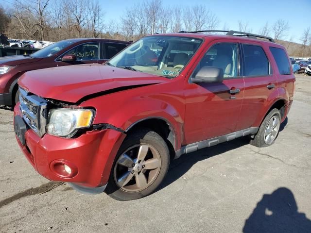 2011 Ford Escape XLT