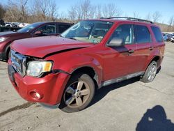 Ford salvage cars for sale: 2011 Ford Escape XLT