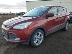 Run And Drives Cars for sale at auction: 2014 Ford Escape SE