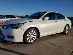 Salvage cars for sale at auction: 2013 Honda Accord EXL