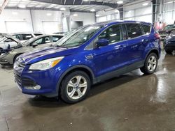 Salvage cars for sale from Copart Ham Lake, MN: 2014 Ford Escape SE