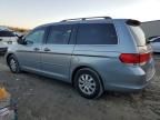 2008 Honda Odyssey EXL