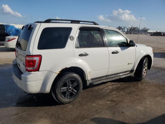 2010 Ford Escape Hybrid