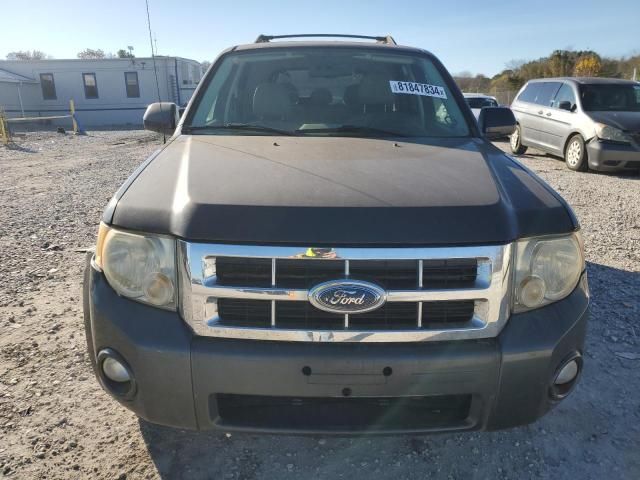 2008 Ford Escape HEV