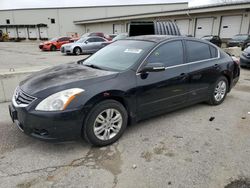 Salvage cars for sale at Louisville, KY auction: 2011 Nissan Altima Base