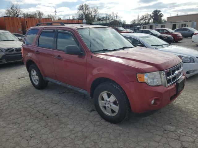 2010 Ford Escape XLT