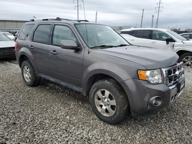 2011 Ford Escape Limited