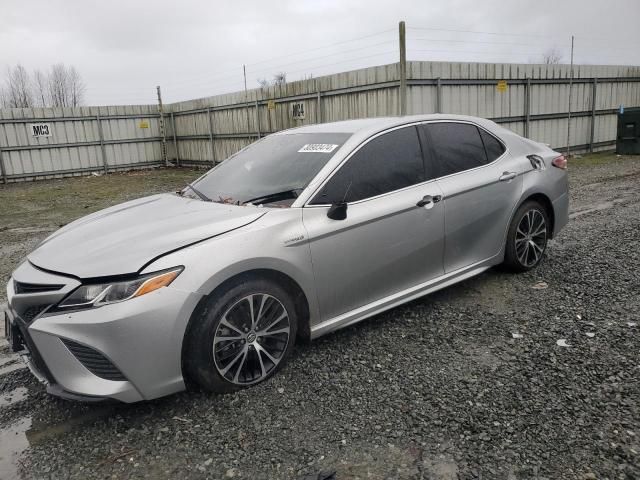 2019 Toyota Camry Hybrid