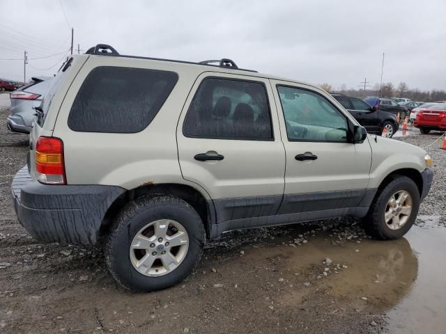 2005 Ford Escape XLT