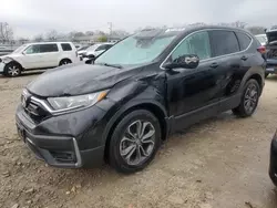 2020 Honda CR-V EX en venta en Louisville, KY