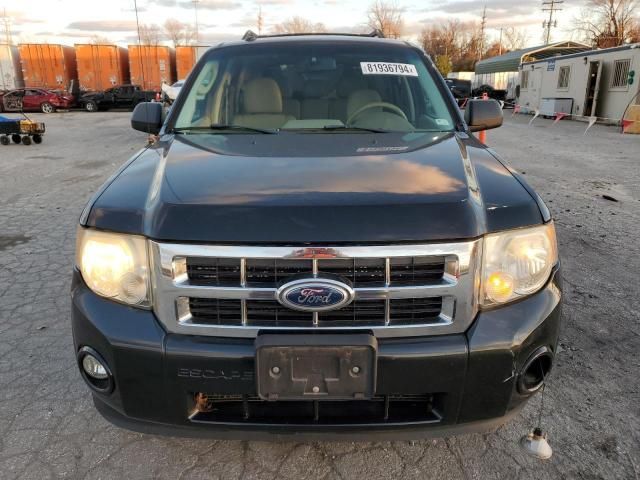 2011 Ford Escape XLT