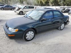 Salvage cars for sale from Copart Ocala, FL: 1996 Toyota Corolla