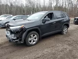 2023 Toyota Rav4 Limited en venta en Cookstown, ON