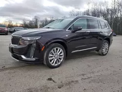 Cadillac xt6 Vehiculos salvage en venta: 2021 Cadillac XT6 Premium Luxury