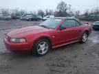 2004 Ford Mustang