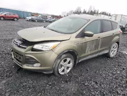 Ford salvage cars for sale: 2013 Ford Escape SE