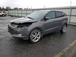 Salvage cars for sale at Pennsburg, PA auction: 2013 Ford Escape Titanium