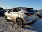 2024 Lexus NX 250 Premium