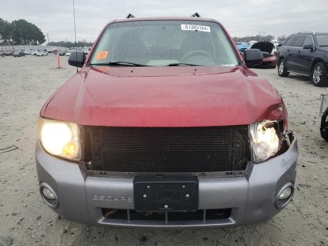 2008 Ford Escape XLT