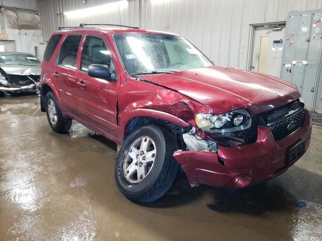 2005 Ford Escape Limited