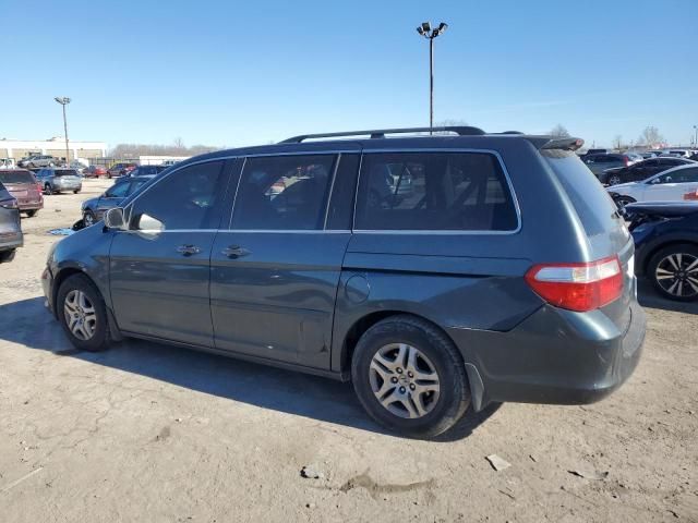 2005 Honda Odyssey EXL