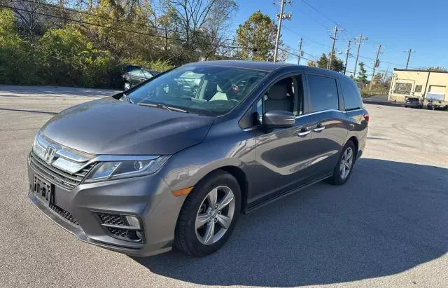 2020 Honda Odyssey EXL