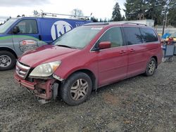 Honda salvage cars for sale: 2006 Honda Odyssey EXL