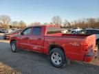 2010 Dodge Dakota SXT