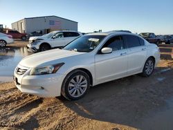 Salvage cars for sale at Amarillo, TX auction: 2011 Honda Accord EXL