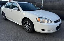 Chevrolet salvage cars for sale: 2009 Chevrolet Impala 1LT