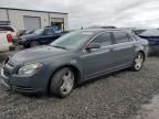 2009 Chevrolet Malibu 2LT