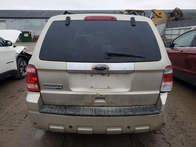 2010 Ford Escape Limited