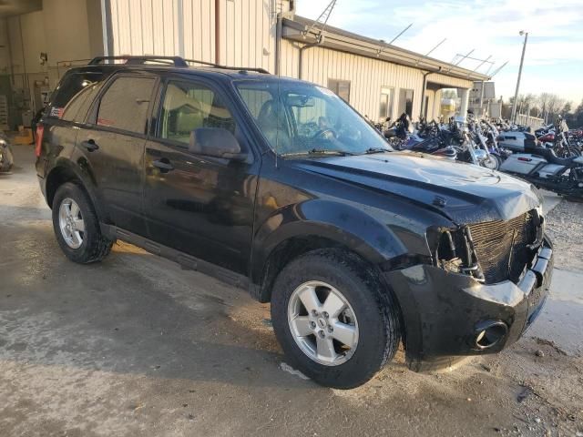 2012 Ford Escape XLT