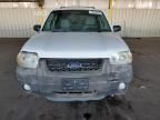 2007 Ford Escape XLT