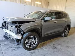 Salvage cars for sale from Copart Orlando, FL: 2023 Hyundai Santa FE SEL