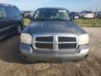 2005 Dodge Dakota Quad SLT