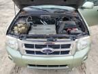 2008 Ford Escape HEV