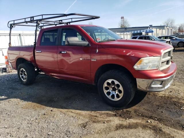 2010 Dodge RAM 1500