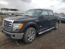 Ford Vehiculos salvage en venta: 2012 Ford F150 Supercrew