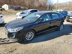 Salvage cars for sale at Baltimore, MD auction: 2019 Hyundai Sonata SE