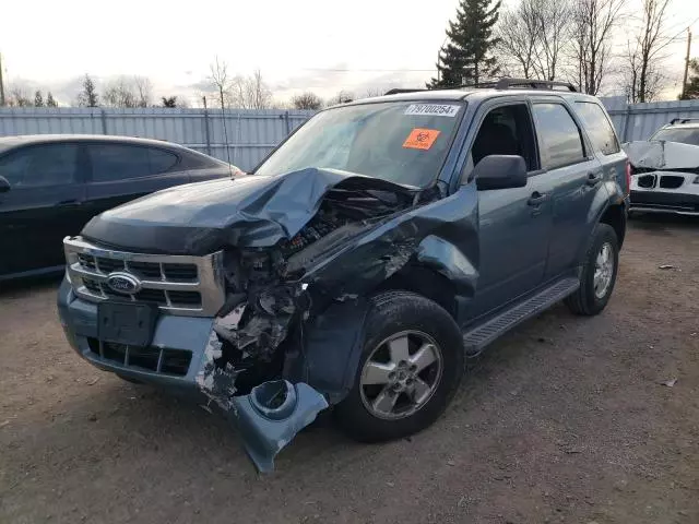 2011 Ford Escape XLT