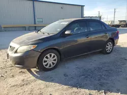 Vehiculos salvage en venta de Copart Haslet, TX: 2009 Toyota Corolla Base