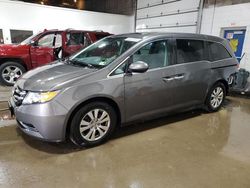 2014 Honda Odyssey EXL en venta en Blaine, MN