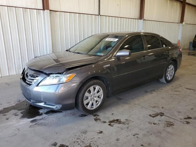 2009 Toyota Camry Hybrid